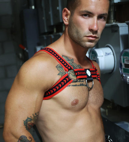 Daddy's Favorite Bulldog Harness, Red - Breedwell -