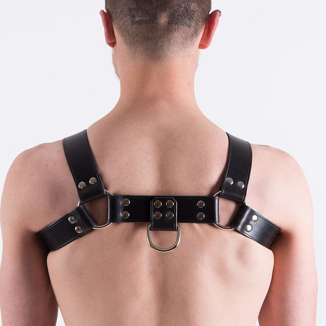 REGULATION Premium Leather Bulldog Harness - REGULATION-Clubwear