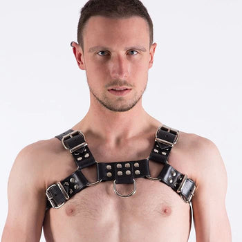 Harnesses - REX Store