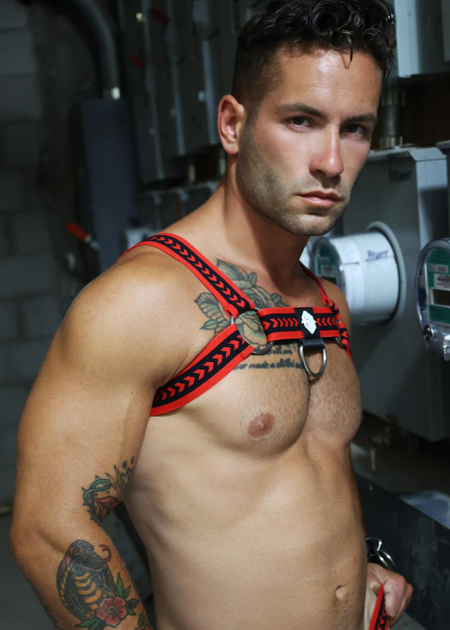 Daddy's Favorite Bulldog Harness, Red - Breedwell -