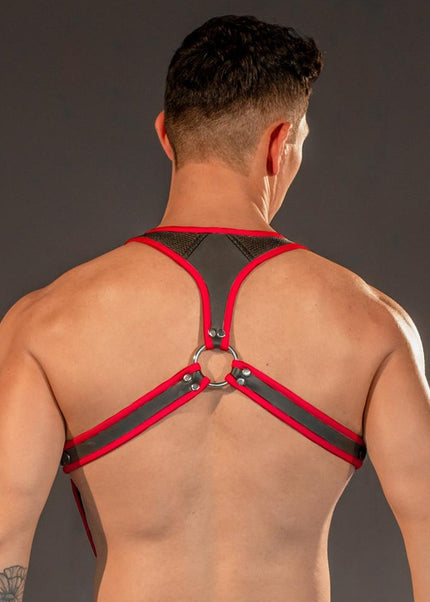 Dale Mas Neoprene Smooth Skin Industry Harness, Black/Red - Dale Mas-