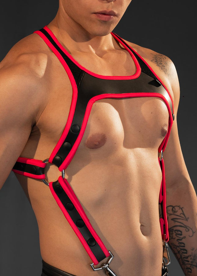 Dale Mas Neoprene Smooth Skin Industry Harness, Black/Red - Dale Mas-