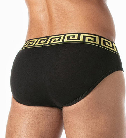 LEADER Invictus Briefs, Black/Gold - Leader - 