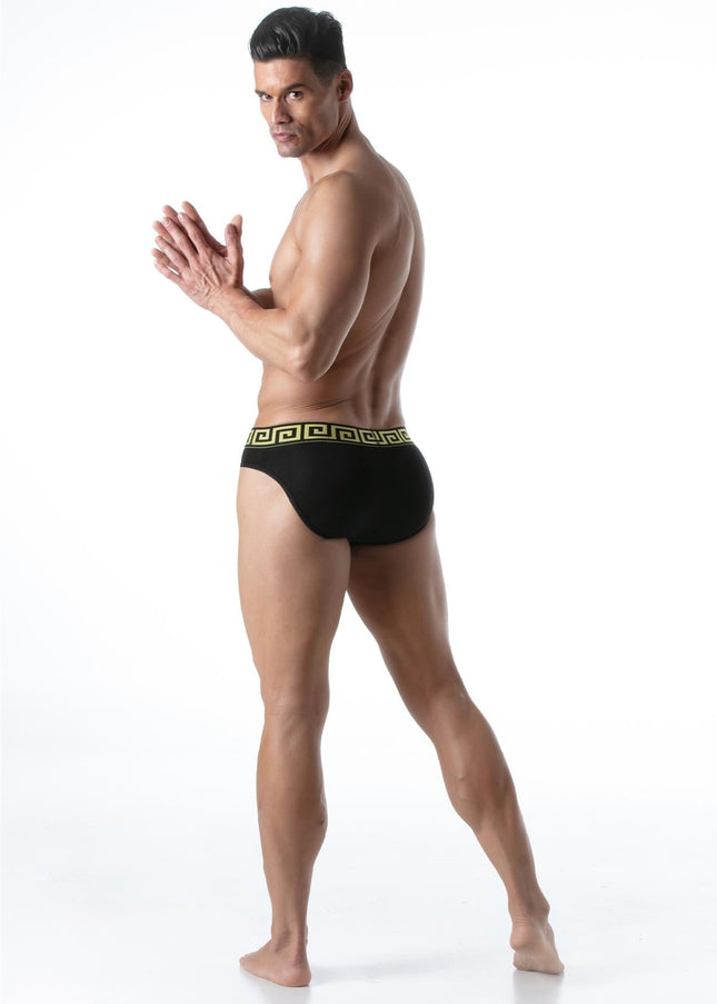 LEADER Invictus Briefs, Black/Gold - Leader - 