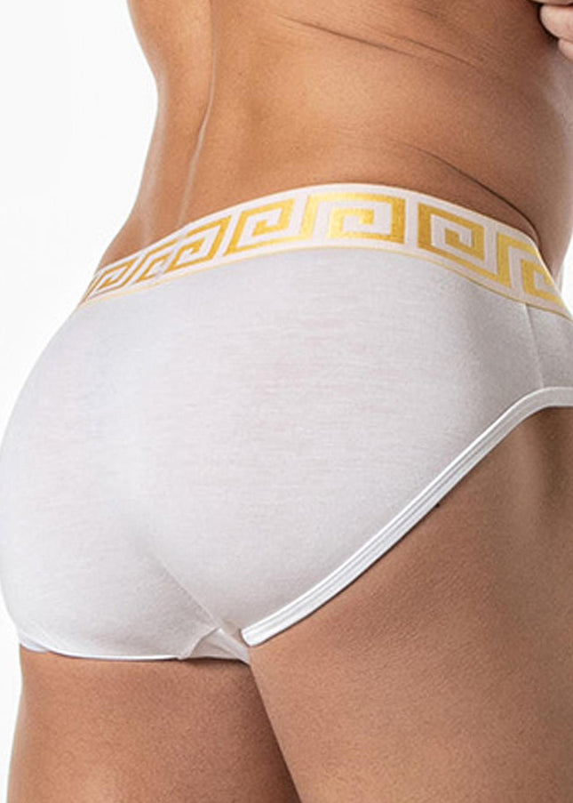 LEADER Invictus Briefs, White/Gold - Leader - 