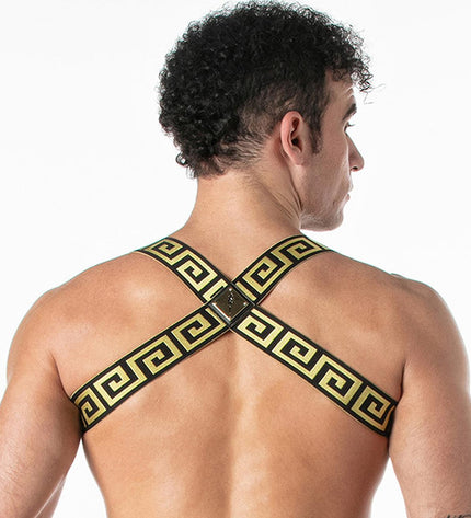 LEADER Invictus Harness, Black/Gold - Leader - 