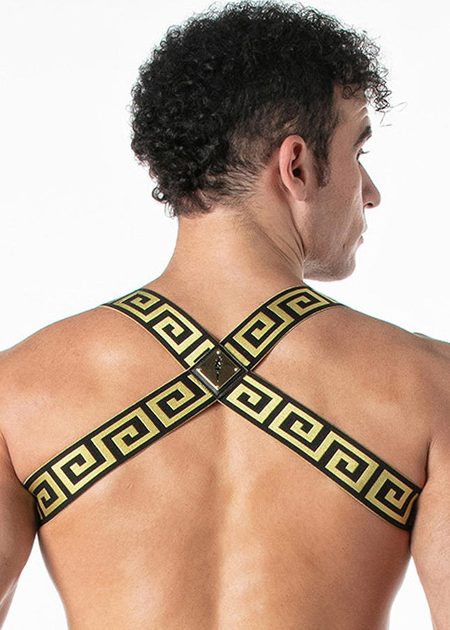 LEADER Invictus Harness, Black/Gold - Leader - 