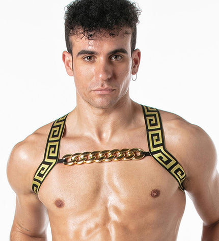 LEADER Invictus Harness, Black/Gold - Leader - 