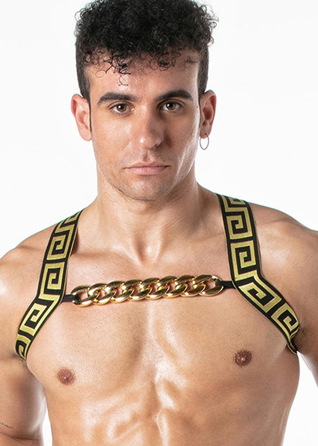 LEADER Invictus Harness, Black/Gold - Leader - 