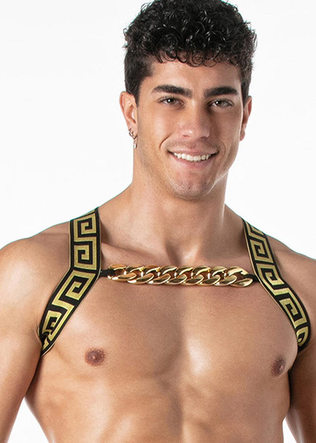 LEADER Invictus Harness, Black/Gold - Leader - 