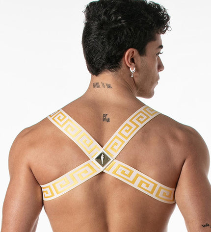 LEADER Invictus Harness, White/Gold - Leader - 