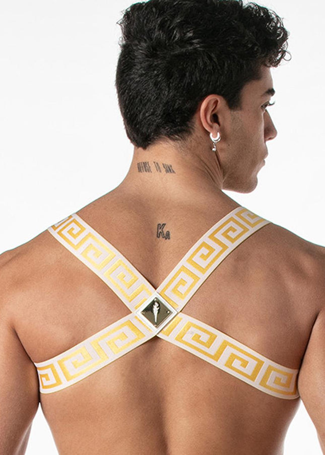 LEADER Invictus Harness, White/Gold - Leader - 