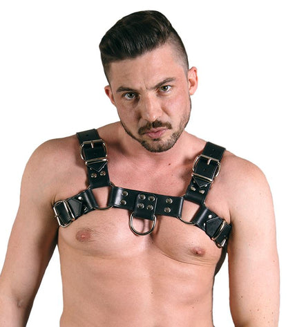 REGULATION Premium Leather Bulldog Harness - REGULATION-Clubwear
